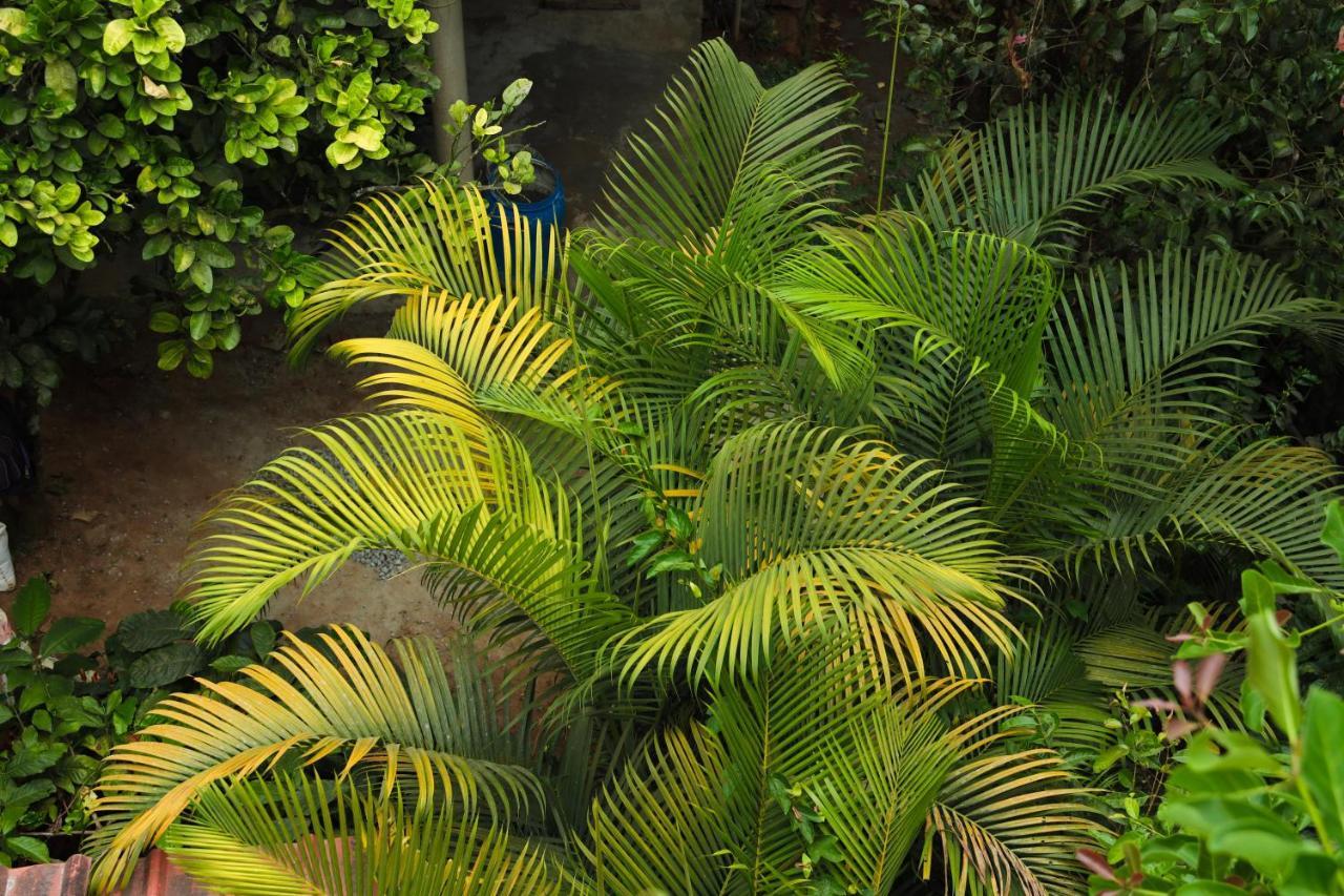 Copperhill- A Luxury Homestay Madikeri Luaran gambar