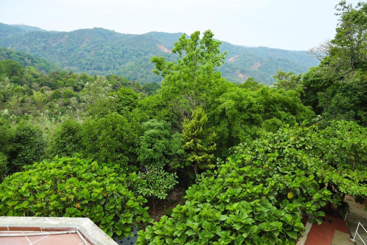 Copperhill- A Luxury Homestay Madikeri Luaran gambar